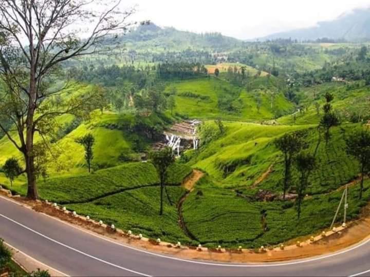 Lily adam's peak Bed & Breakfast Nallathanniya Bagian luar foto