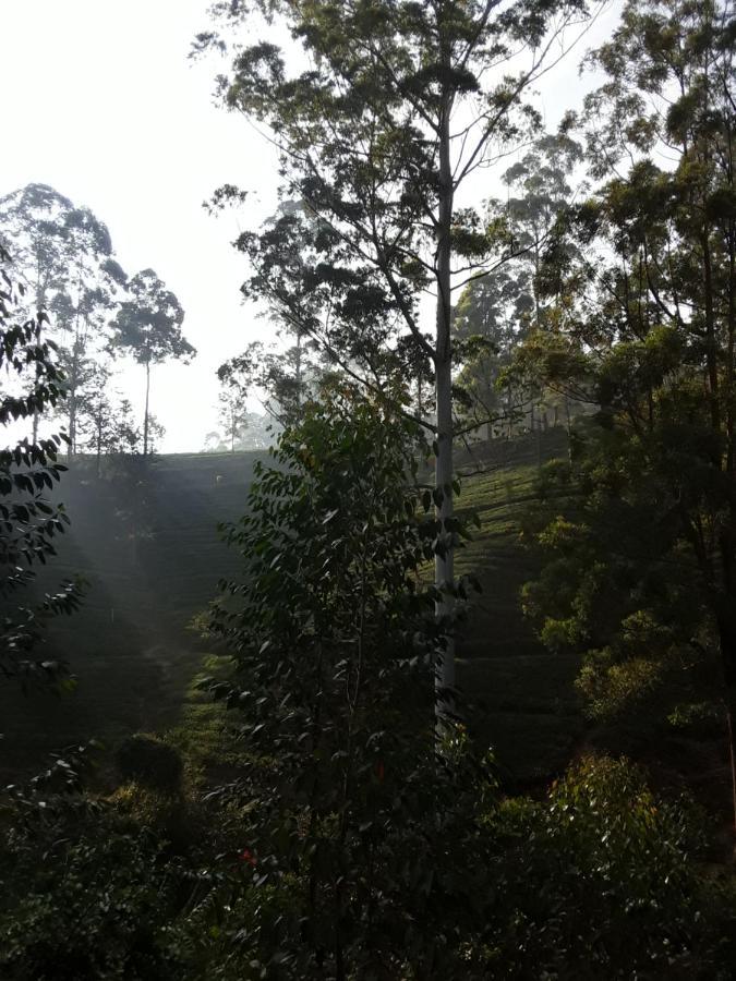 Lily adam's peak Bed & Breakfast Nallathanniya Bagian luar foto